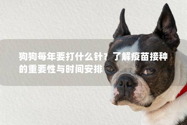 狗狗每年要打什么針？了解疫苗接種的重要性與時間安排