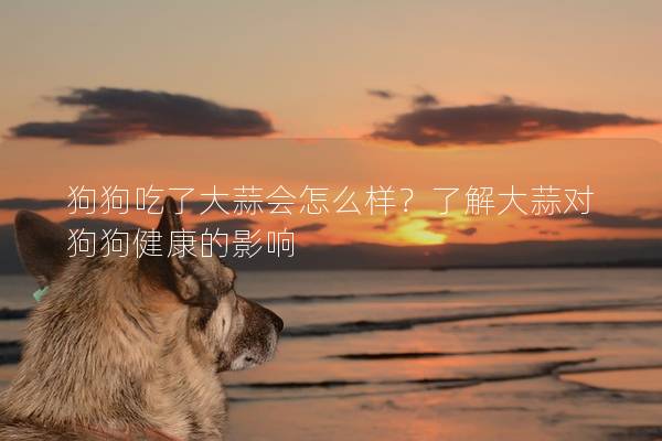 狗狗吃了大蒜會(huì)怎么樣？了解大蒜對(duì)狗狗健康的影響