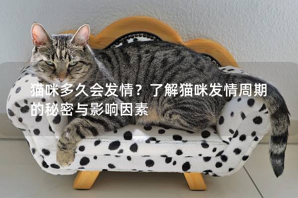 貓咪多久會(huì)發(fā)情？了解貓咪發(fā)情周期的秘密與影響因素