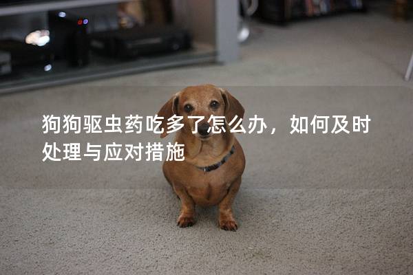 狗狗驅蟲藥吃多了怎么辦，如何及時處理與應對措施