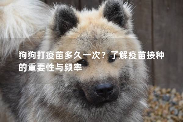 狗狗打疫苗多久一次?了解疫苗接種的重要性與頻率 狗狗打疫苗多久一次?了解疫苗接種的重要性與頻率