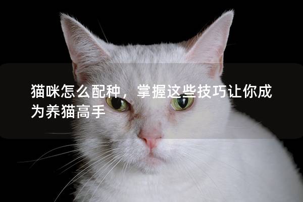 貓咪怎么配種，掌握這些技巧讓你成為養貓高手