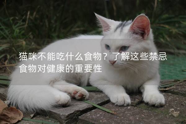 貓咪不能吃什么食物？了解這些禁忌食物對健康的重要性