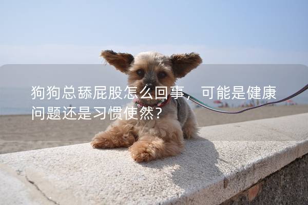 狗狗總舔屁股怎么回事，可能是健康問題還是習(xí)慣使然？