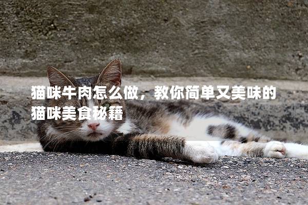 貓咪牛肉怎么做，教你簡單又美味的貓咪美食秘籍