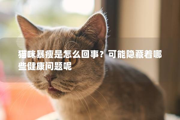 貓咪暴瘦是怎么回事？可能隱藏著哪些健康問題呢