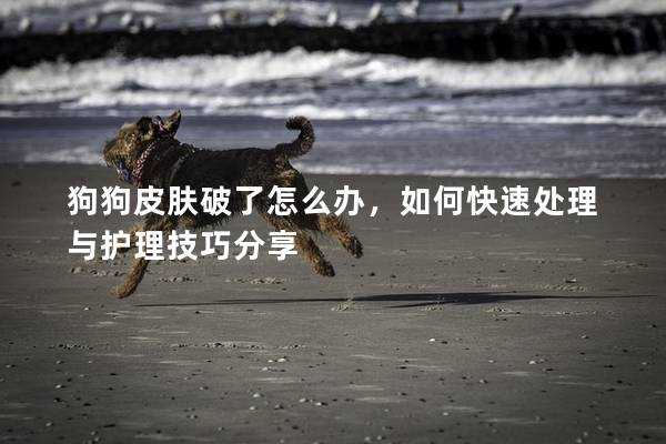 狗狗皮膚破了怎么辦，如何快速處理與護(hù)理技巧分享