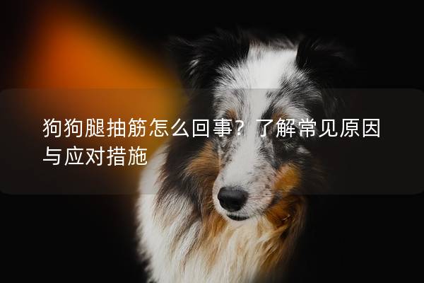 狗狗腿抽筋怎么回事？了解常見原因與應(yīng)對措施
