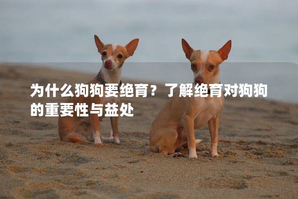 為什么狗狗要絕育？了解絕育對狗狗的重要性與益處