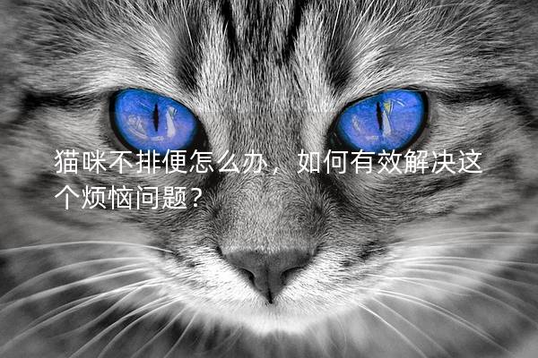 貓咪不排便怎么辦，如何有效解決這個煩惱問題？
