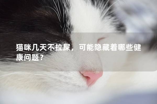 貓咪幾天不拉屎，可能隱藏著哪些健康問(wèn)題？