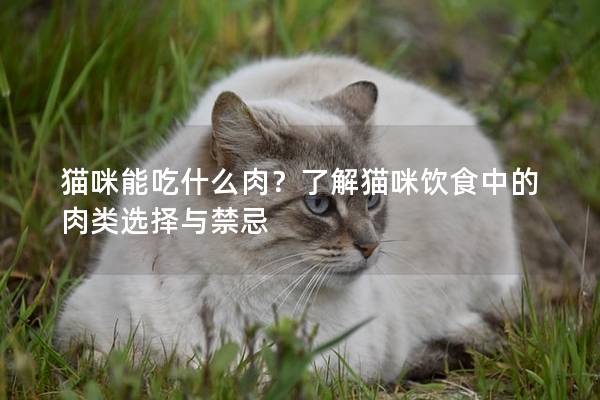 貓咪能吃什么肉？了解貓咪飲食中的肉類選擇與禁忌