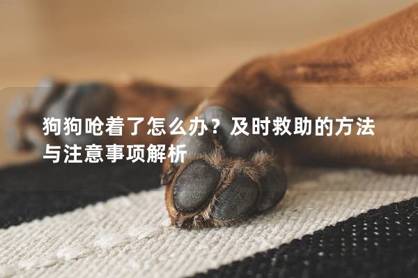 狗狗嗆著了怎么辦？及時救助的方法與注意事項解析