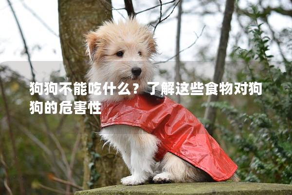 狗狗不能吃什么？了解這些食物對狗狗的危害性