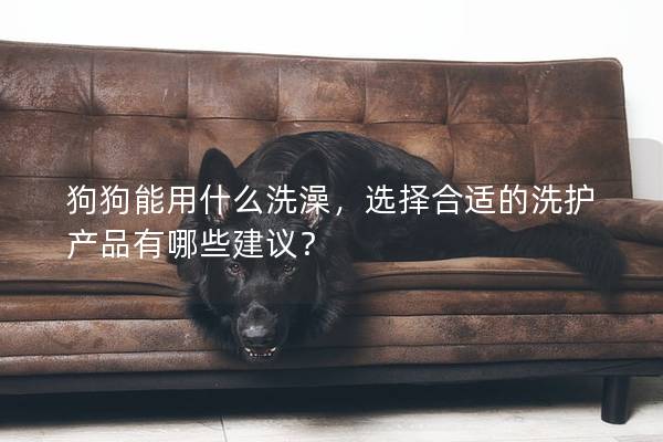 狗狗能用什么洗澡，選擇合適的洗護產(chǎn)品有哪些建議？