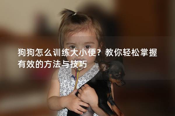 狗狗怎么訓練大小便？教你輕松掌握有效的方法與技巧
