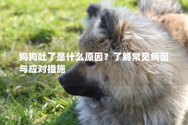 狗狗吐了是什么原因？了解常見病因與應(yīng)對(duì)措施