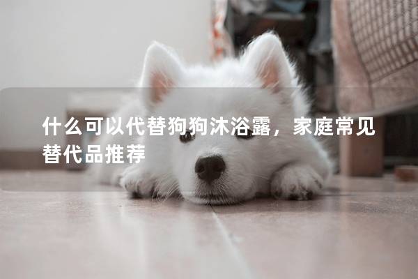 什么可以代替狗狗沐浴露，家庭常見替代品推薦