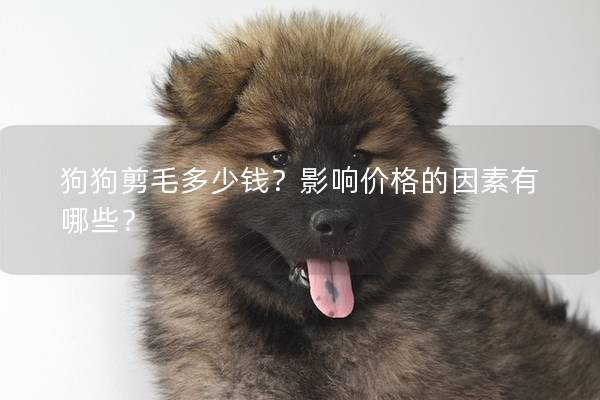 狗狗剪毛多少錢？影響價格的因素有哪些？