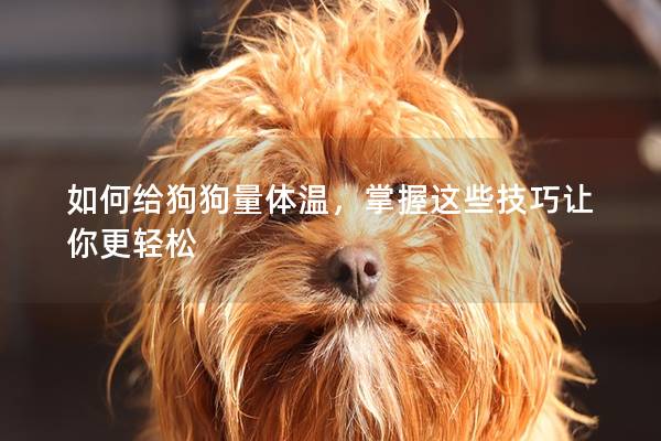 如何給狗狗量體溫，掌握這些技巧讓你更輕松