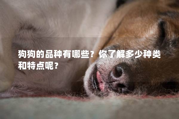 狗狗的品種有哪些？你了解多少種類和特點呢？