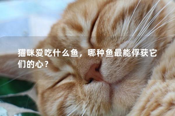 貓咪愛吃什么魚，哪種魚最能俘獲它們的心？