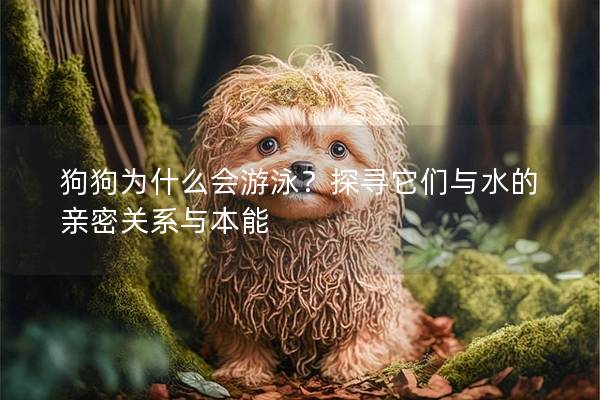 狗狗為什么會游泳？探尋它們與水的親密關(guān)系與本能