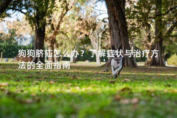 狗狗臍疝怎么辦？了解癥狀與治療方法的全面指南