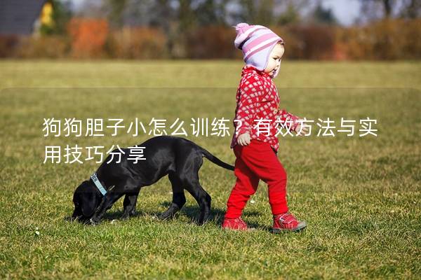 狗狗膽子小怎么訓(xùn)練？有效方法與實用技巧分享