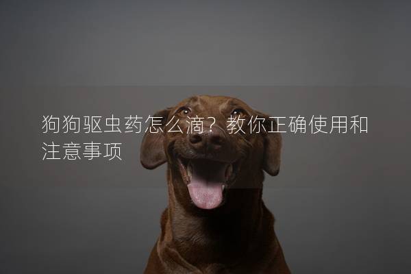 狗狗驅(qū)蟲藥怎么滴？教你正確使用和注意事項(xiàng)