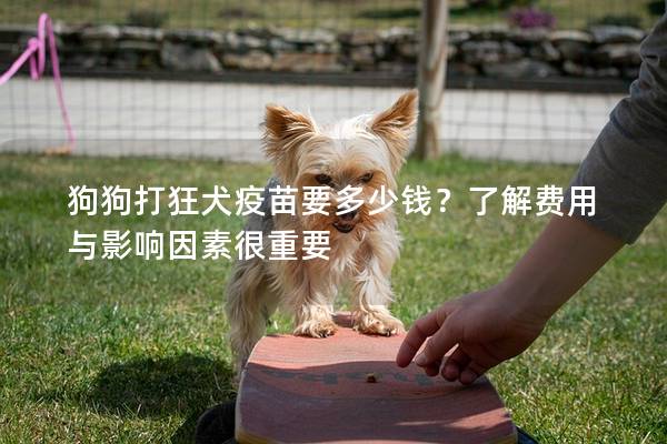 狗狗打狂犬疫苗要多少錢？了解費用與影響因素很重要