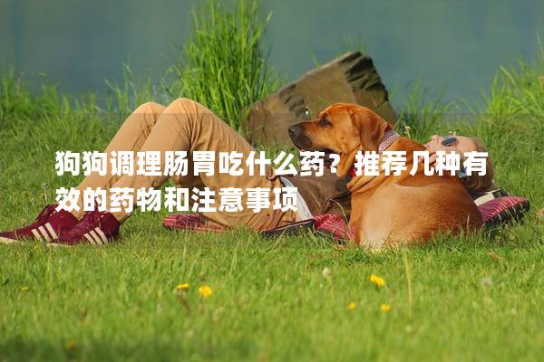 狗狗調理腸胃吃什么藥？推薦幾種有效的藥物和注意事項