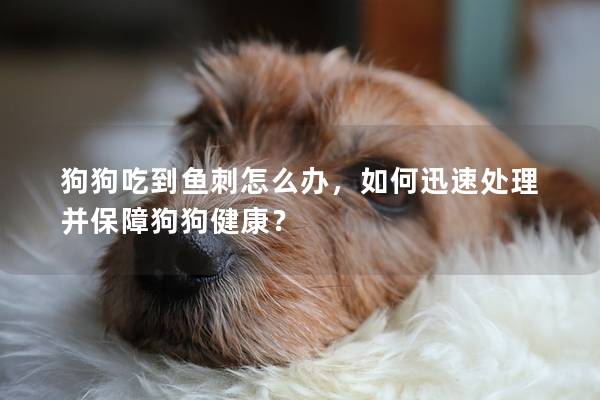 狗狗吃到魚刺怎么辦，如何迅速處理并保障狗狗健康？