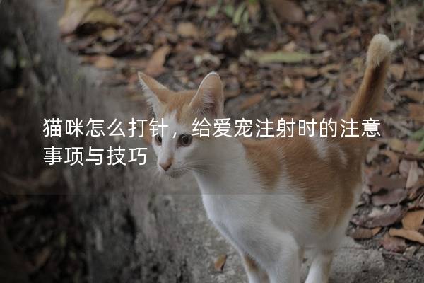 貓咪怎么打針，給愛寵注射時(shí)的注意事項(xiàng)與技巧