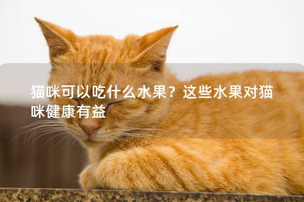 貓咪可以吃什么水果？這些水果對(duì)貓咪健康有益