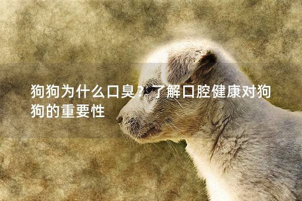 狗狗為什么口臭？了解口腔健康對狗狗的重要性