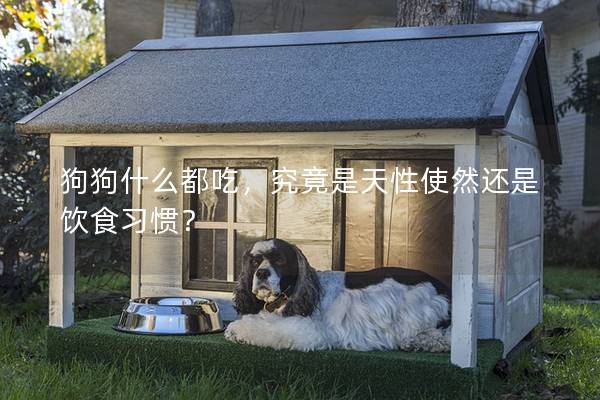 狗狗什么都吃，究竟是天性使然還是飲食習慣？