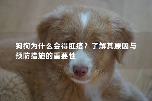 狗狗為什么會得肛瘺？了解其原因與預(yù)防措施的重要性