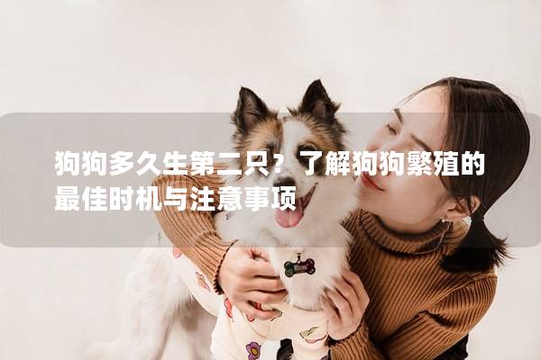 狗狗多久生第二只？了解狗狗繁殖的最佳時機與注意事項