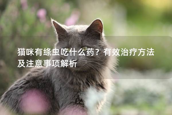 貓咪有絳蟲吃什么藥？有效治療方法及注意事項解析