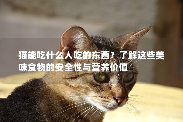 貓能吃什么人吃的東西？了解這些美味食物的安全性與營養(yǎng)價(jià)值