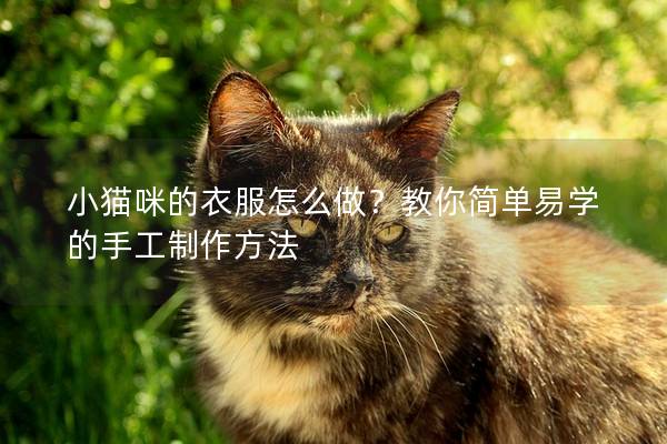 小貓咪的衣服怎么做？教你簡單易學的手工制作方法
