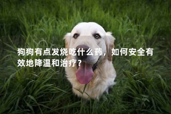 狗狗有點(diǎn)發(fā)燒吃什么藥，如何安全有效地降溫和治療？