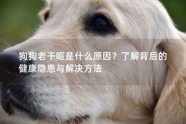狗狗老干嘔是什么原因？了解背后的健康隱患與解決方法