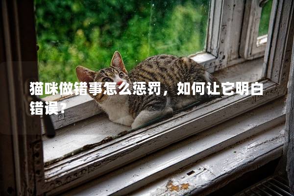貓咪做錯事怎么懲罰，如何讓它明白錯誤？