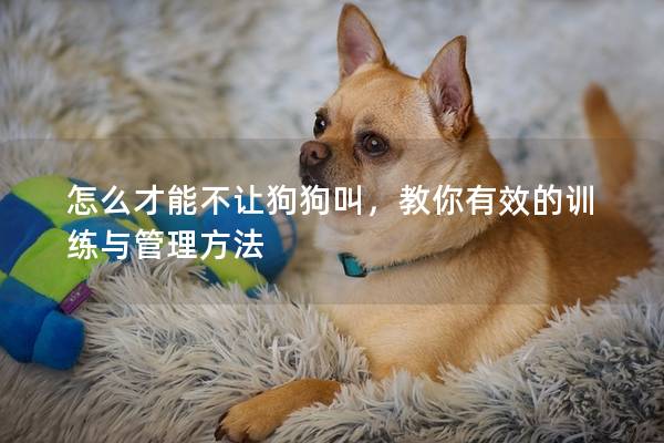 怎么才能不讓狗狗叫，教你有效的訓練與管理方法