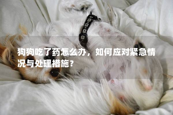 狗狗吃了藥怎么辦，如何應對緊急情況與處理措施？