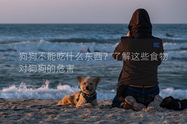狗狗不能吃什么東西？了解這些食物對狗狗的危害