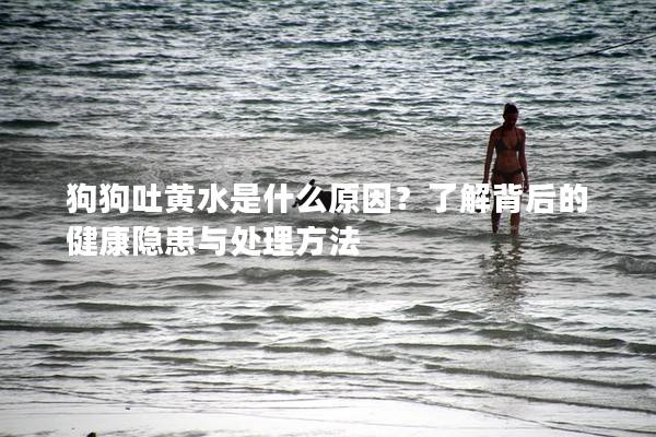 狗狗吐黃水是什么原因?了解背后的健康隱患與處理方法 狗狗吐黃水是什么原因?了解背后的健康隱患與處理方法
