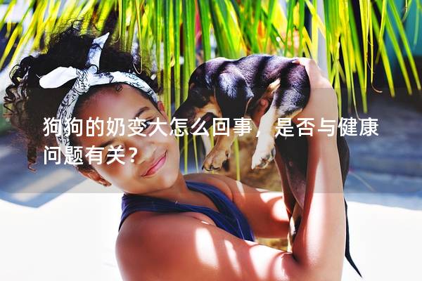 狗狗的奶變大怎么回事，是否與健康問題有關(guān)？